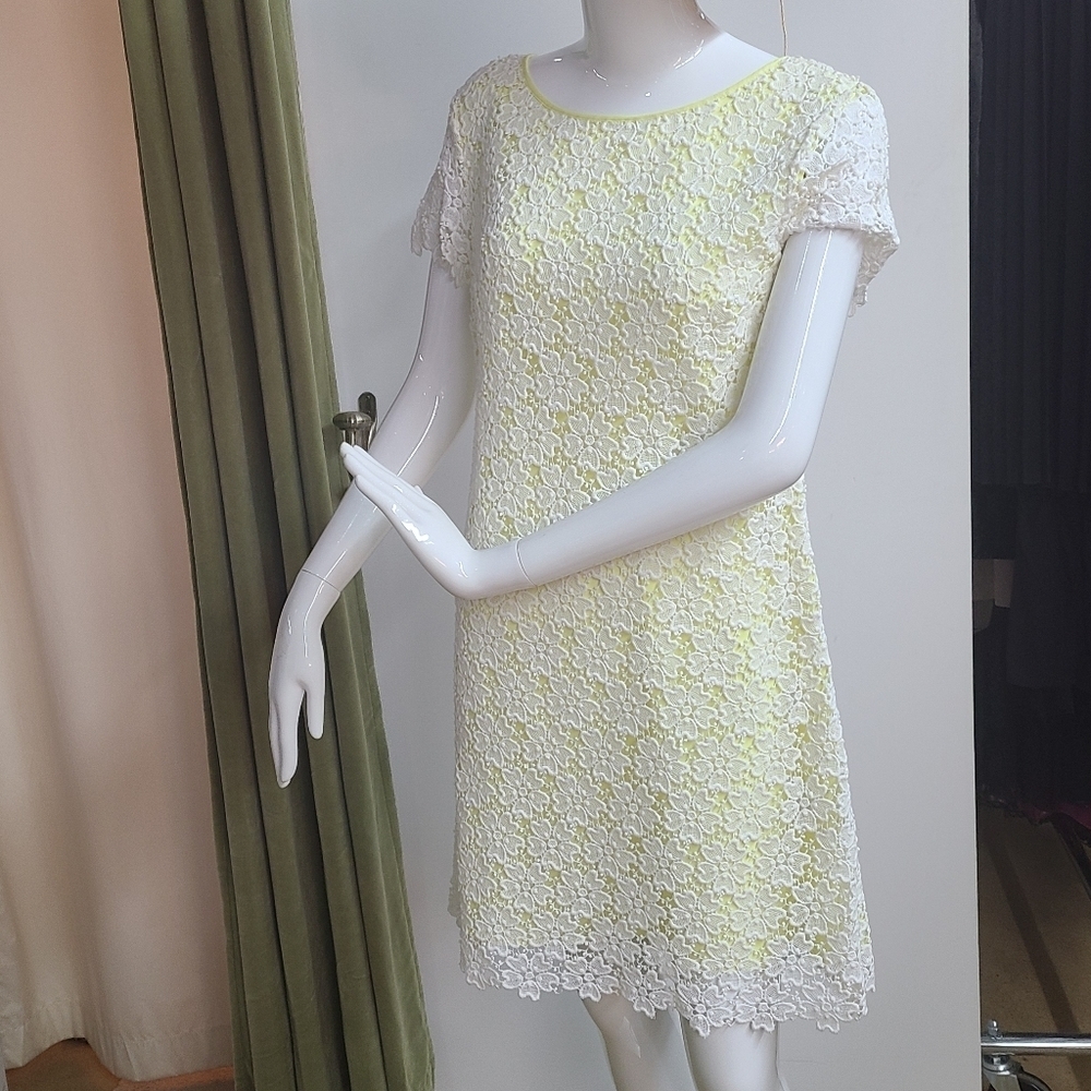 NWT Cynthia Steffe Dress